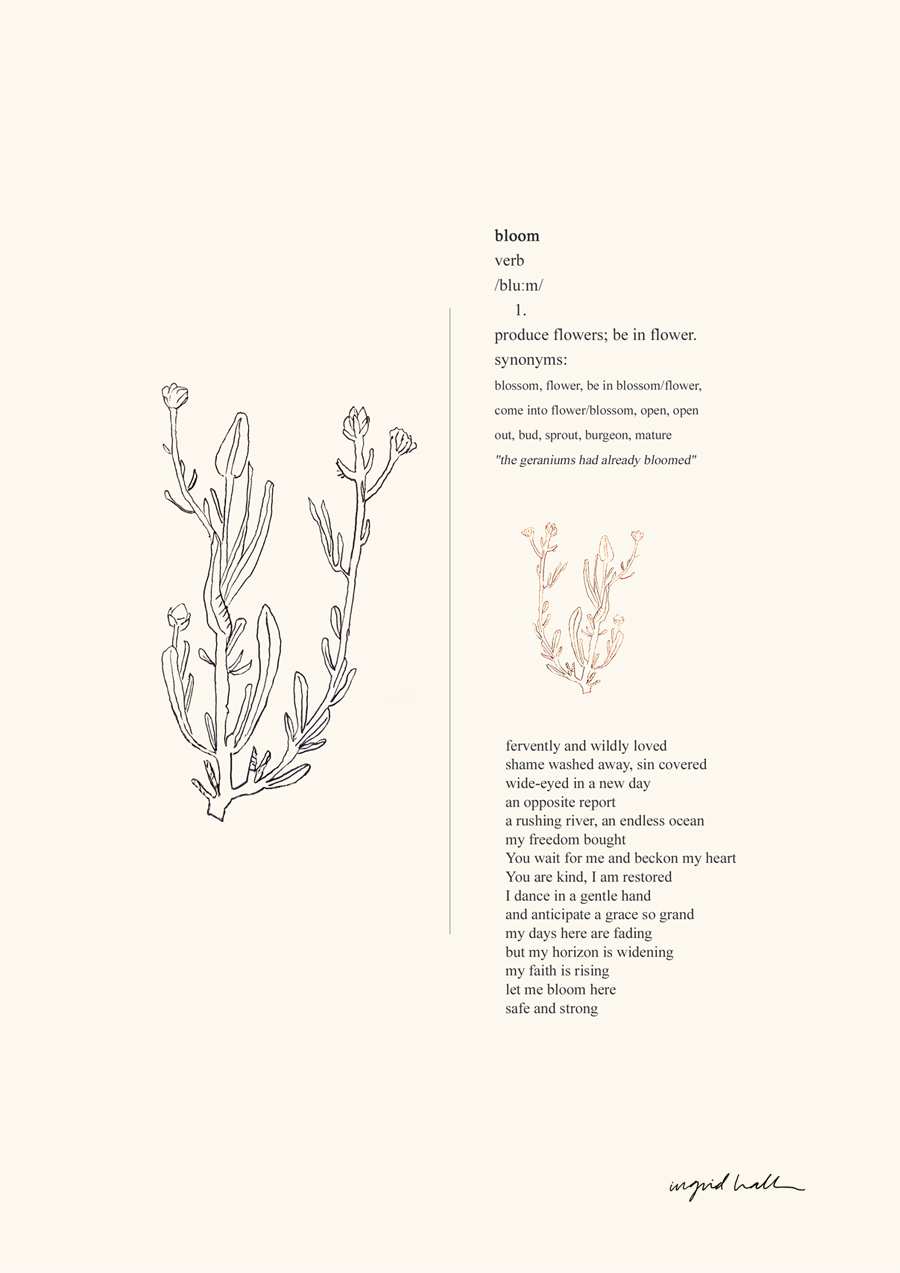 bloom-a3