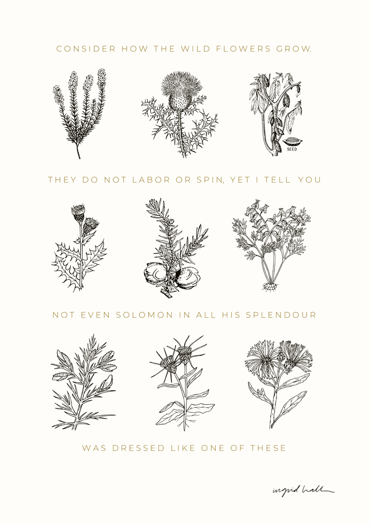 consider-the-wild-flowers-a3
