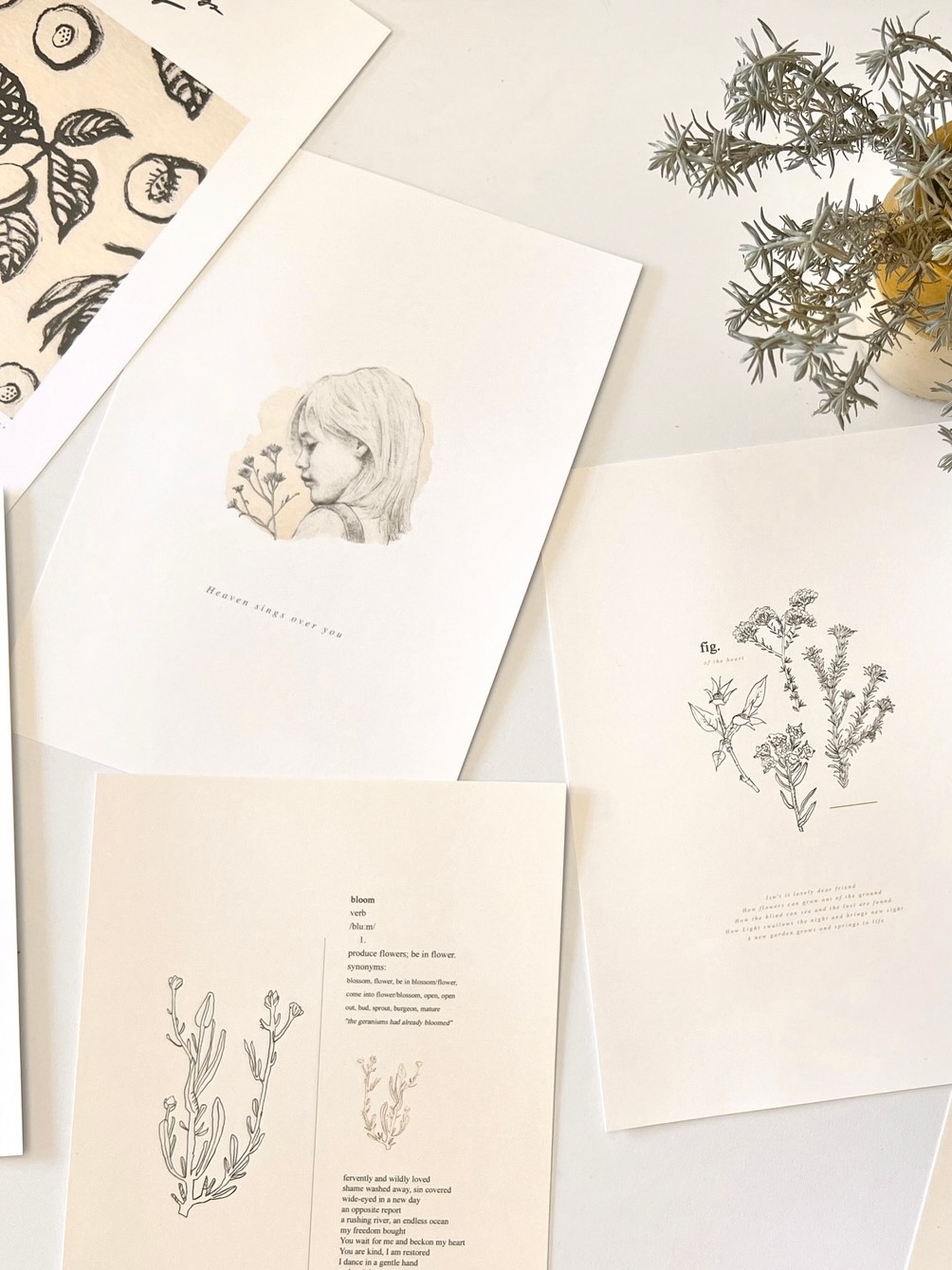 illustrations